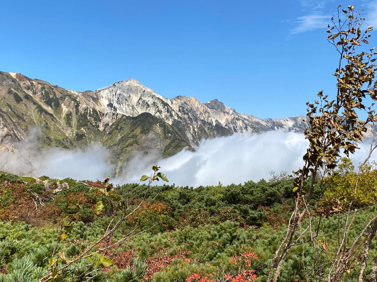 Hareruya Bed & Breakfast Hakuba Exterior foto
